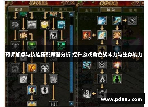 药师加点与技能搭配策略分析 提升游戏角色战斗力与生存能力